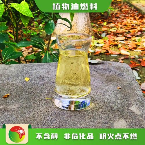 常德环保节能燃料 从烧火油到植物油燃料的变革之路